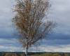 <b>Название: </b>, <b>Добавил:<b> altexmedia<br>Размеры: 1522x1600, 287.4 Кб